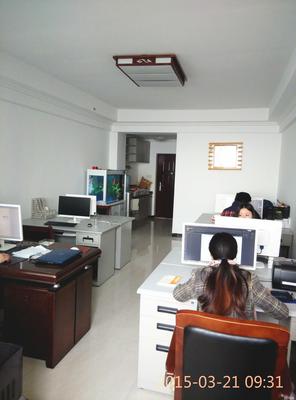 徐州傳承化妝品科技發(fā)展技術(shù)咨詢(xún) 融合創(chuàng)新與傳統(tǒng)的護(hù)膚智慧