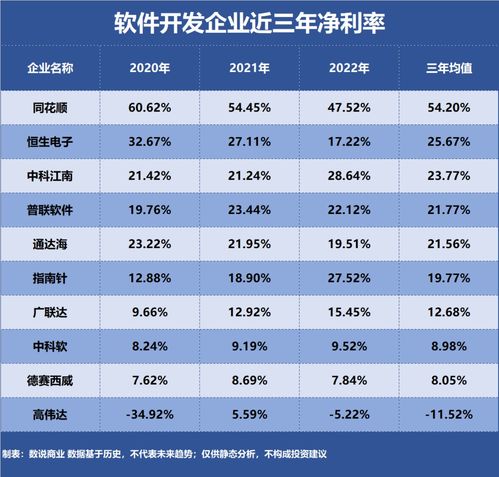軟件開發行業中誰是最盈利的企業？